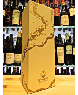 Online sales and prices Italian wines with shipments abroad. Franciacorta DOCG Pas Dosé Mosnel. Italian sparkling white wine far