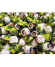 Lindt - Roulettes - "Jungle Book" - 1000g
