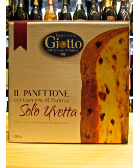 Vendita online panettoni artigianali Pasticceria Giotto Solo Uvetta dal carcere di Padova. Shop online panettone Giotto