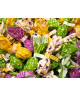 Venchi - Ovetti Assortiti Fazzolettati - 100g