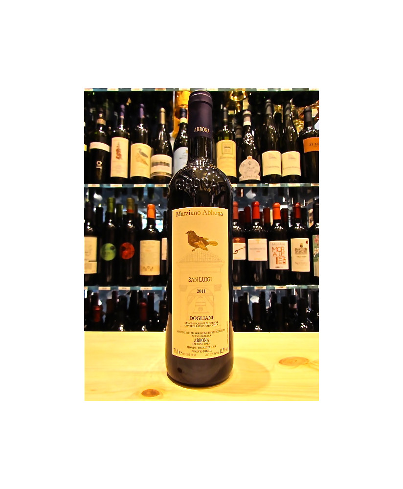 vendita online vini piemontesi san luigi docg shop on-line vino piemontese miglior prezzo on line azienda agricola marziano abbo