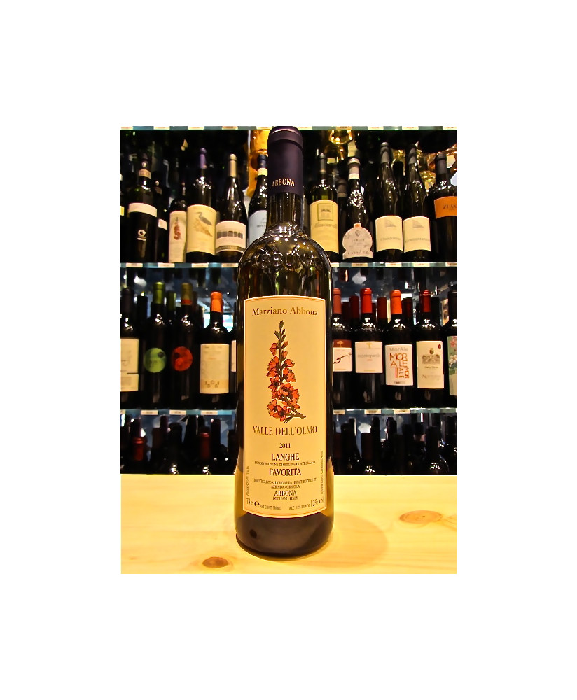 vendita online vino bianco piemontese valle dell' olmo langhe favorita doc shop on-line vini bianchi piemontesi miglior prezzo o