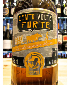 Birra del Forte, Brewery Online sale of Forte dei Marmi, Italy, high-quality craft beer. Shop online italian beers