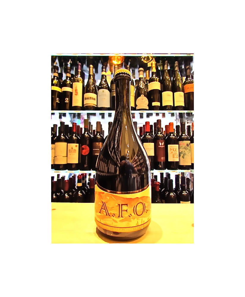 vendita online birre artigianali del birrificio del ducato shop on line birra artiginale del ducato a.f.o. pale ale ad alta ferm
