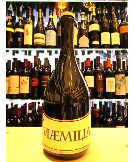 vendita online birre artigianali del birrificio del ducato shop on line birra artiginale del ducato via emilia  ad alta fermenta