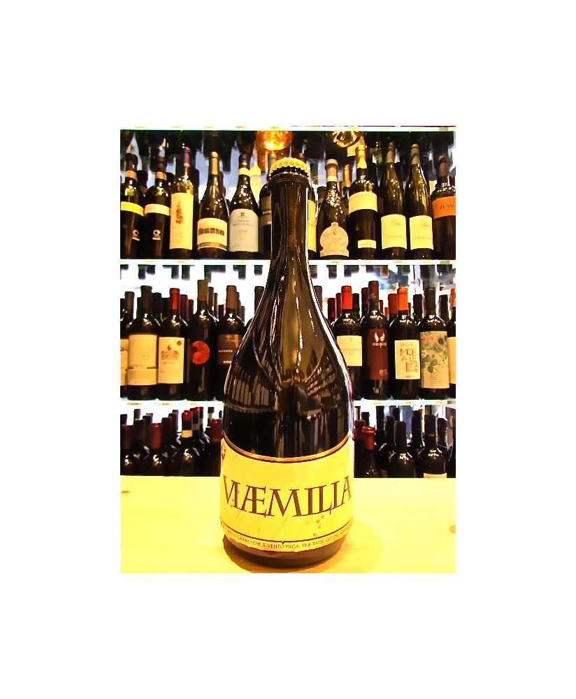 vendita online birre artigianali del birrificio del ducato shop on line birra artiginale del ducato via emilia  ad alta fermenta