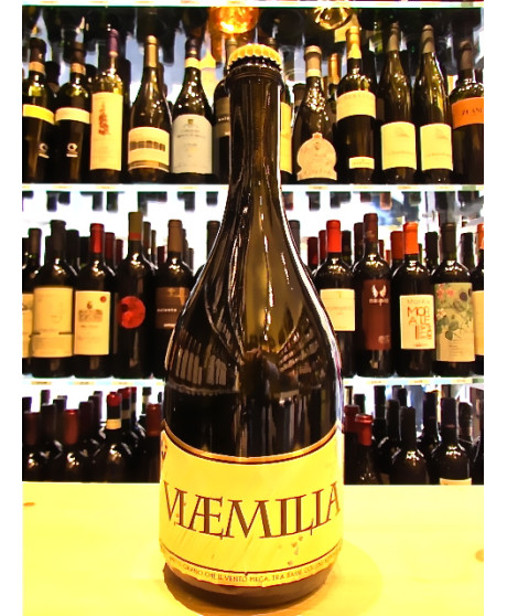 Online Sale OUR SELECTION OF CRAFT BEER FROM THE BEST BRANDS. BOTTLES 75 CL Vulpitta Corso 101