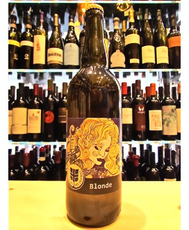 vendita online birre artigianali del birrificio del ducato on line birra moderna shop on line birra artiginale del ducato blonde
