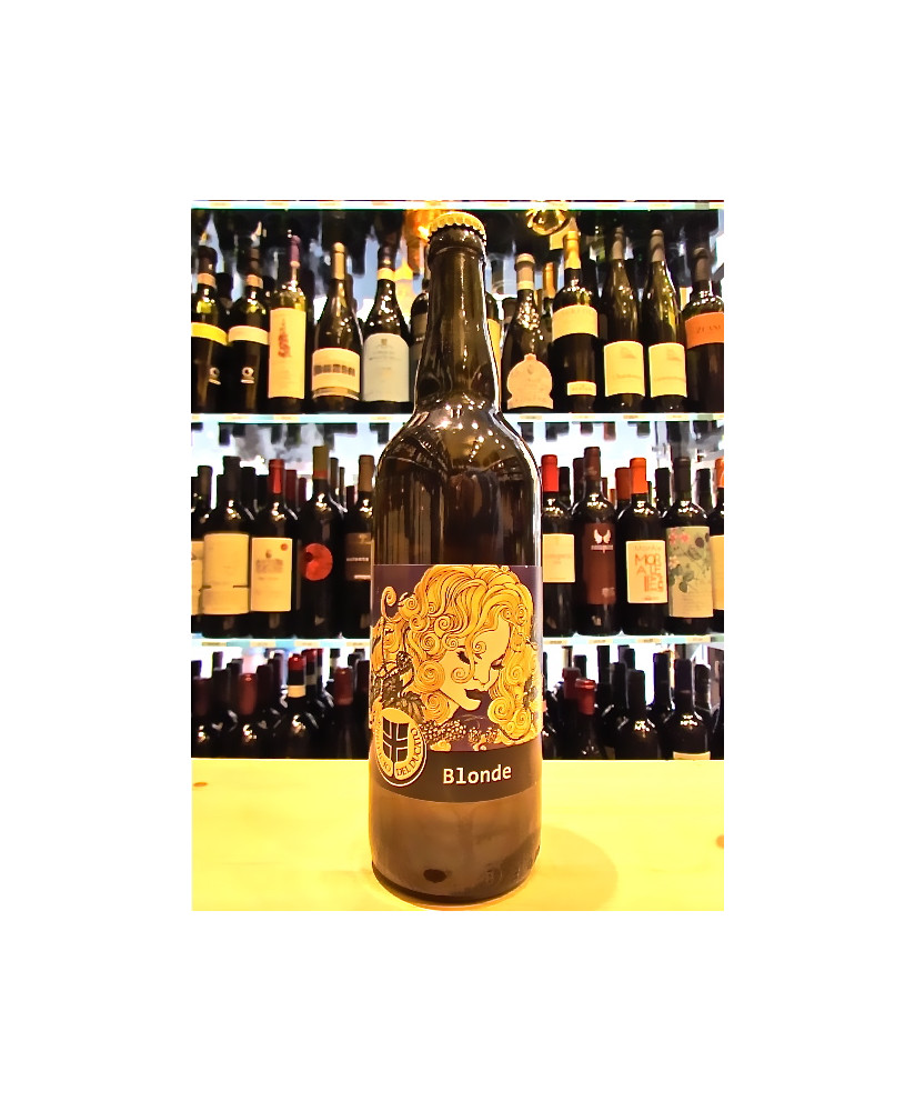 vendita online birre artigianali del birrificio del ducato on line birra moderna shop on line birra artiginale del ducato blonde