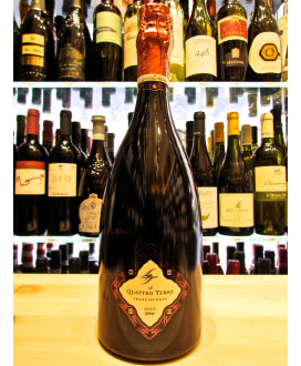 Vendita online Franciacorta Le Quattro Terre Rosé. Miglior prezzo franciacorta rose millesimato Quattro Terre enoteca online