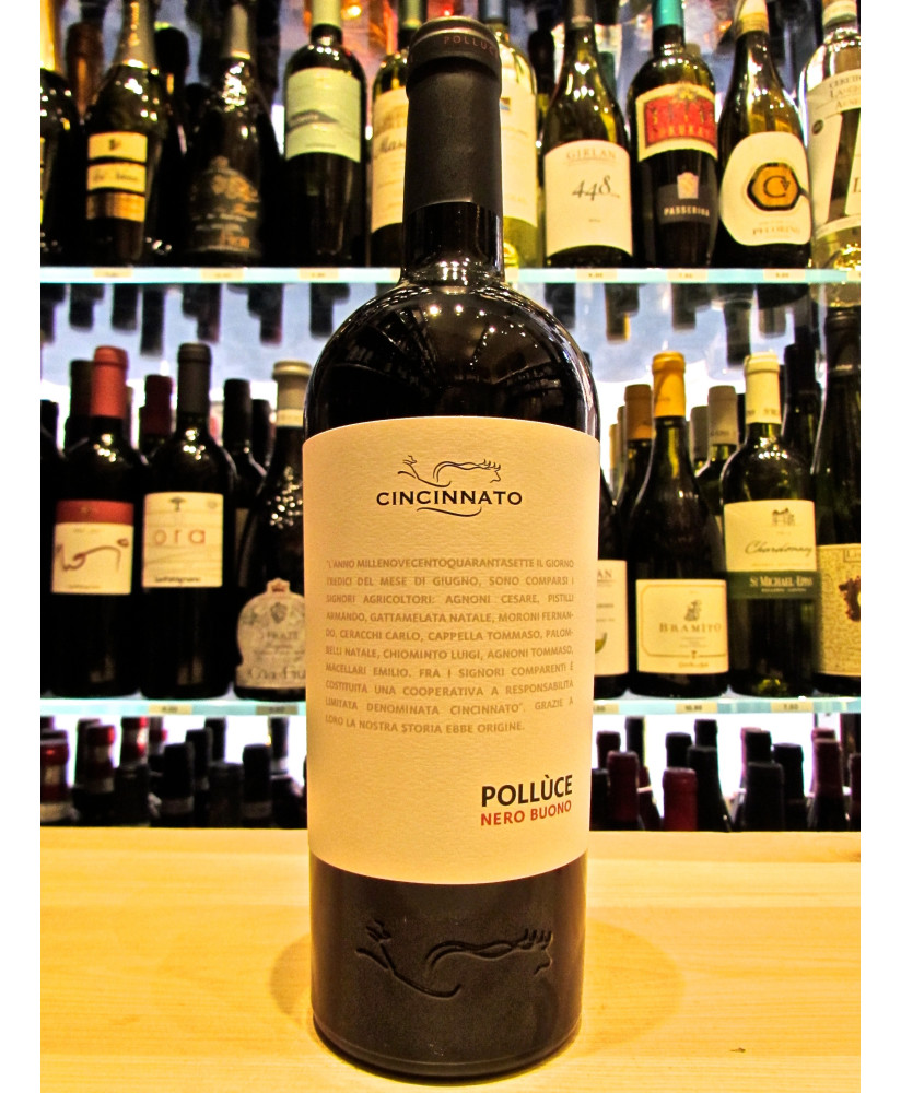 Cincinnato Polluce Nero Buono vini rossi del Lazio. Vendita online vino rosso Lazio Cincinnato fattoria di Cori. Miglior prezzo