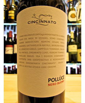 Cincinnato Polluce Nero Buono vini rossi del Lazio. Vendita online vino rosso Lazio Cincinnato fattoria di Cori. Miglior prezzo
