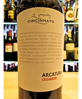 Cincinnato Arcatura Cesanese vini rossi del Lazio. Vendita online vino rosso Lazio Cincinnato fattoria di Cori. Miglior prezzo