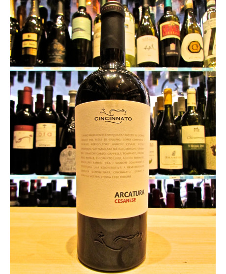 Cincinnato Arcatura Cesanese red wines from Lazio. Sale online red wine Cincinnatus buy on-line. Best price italian red wine