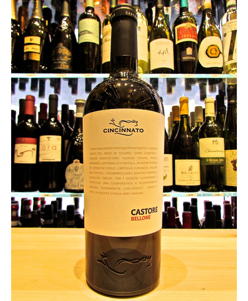 Cincinnato Castore Bellone vini bianchi del Lazio. Vendita online vino bianco Lazio Cincinnato fattoria di Cori. Miglior prezzo