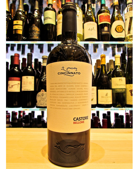 Cincinnato Castore Bellone vini bianchi del Lazio. Vendita online vino bianco Lazio Cincinnato fattoria di Cori. Miglior prezzo