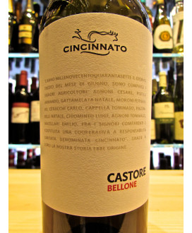 Cincinnato Castore Bellone vini bianchi del Lazio. Vendita online vino bianco Lazio Cincinnato fattoria di Cori. Miglior prezzo