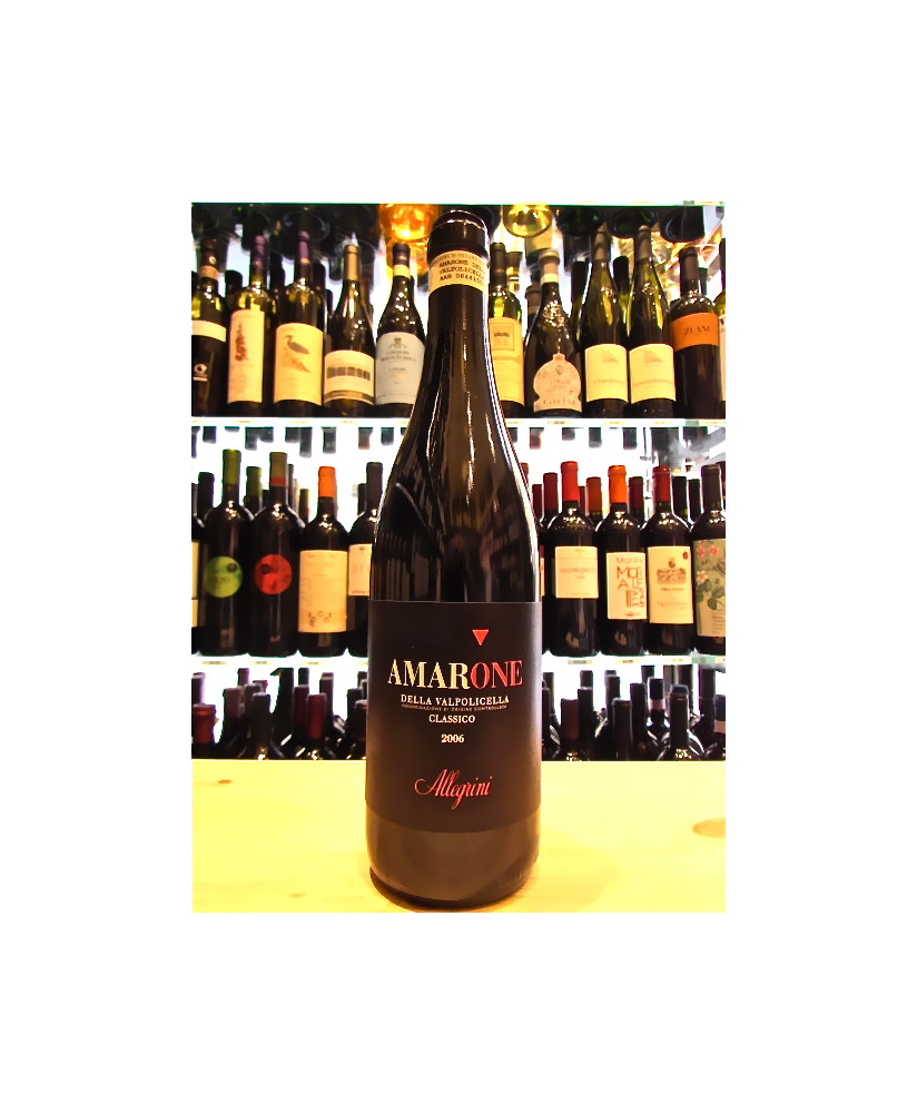 Vendita online Amarone Allegrini. Amarone Classico della Valpolicella DOC. Shop on line vini rossi veneti di qualita' al miglior