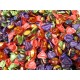 Caffarel - Jelly - Berries - 500g