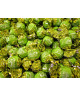 Lindt - Lindor - Roulettes - Pistachio - 100g