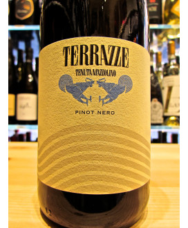 On Line Wine Shop of the Estate Mazzolino, Terrazze Pinot Noir, best price 100% pinot nero Lombardy