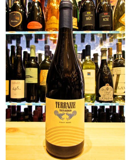 Vendita online vini della Tenuta Mazzolino, Mazzolino Terrazze Pinot nero, miglior prezzo Pinot Noir oltrepò pavese
