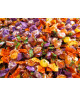 300g - Horvath - Lindt - Farfalline di Frutta Mista