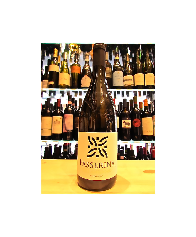 Vendita online Passerina Colli Aprutini IGT Villamedoro. Shop on line vino bianco abruzzese imbottigliato da Villa Medoro di Fed