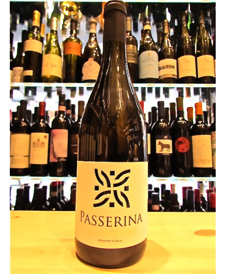 Vendita online Passerina Colli Aprutini IGT Villamedoro. Shop on line vino bianco abruzzese imbottigliato da Villa Medoro di Fed