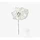 Cupido &amp; Company - 12 Fabric White Flowers