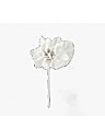 Cupido & Company - 12 Fabric White Flowers