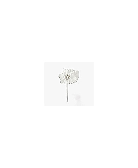 Shop online accessories for baptism and communion. Online sale accessories for wedding favors. Shop online accessories for baptism and communion. Online sale accessories for wedding favors.