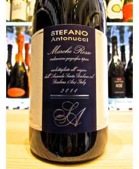 Online Sale OUR SELECTION OF MARCHE RED WINES Vulpitta Corso 101