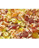 500g - Fida - Gelatine - Bonelle
