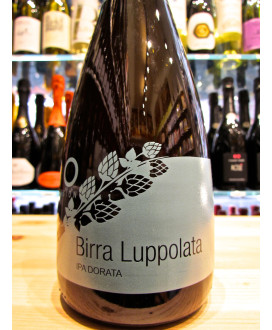 Vendita online Birra artigianale Zago Luppolata, Ipa Dorata. Miglior prezzo on-line birre artigianali Zago, Pordenone.