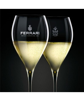Vindita online bicchiere in vetro Trento Doc Ferrari