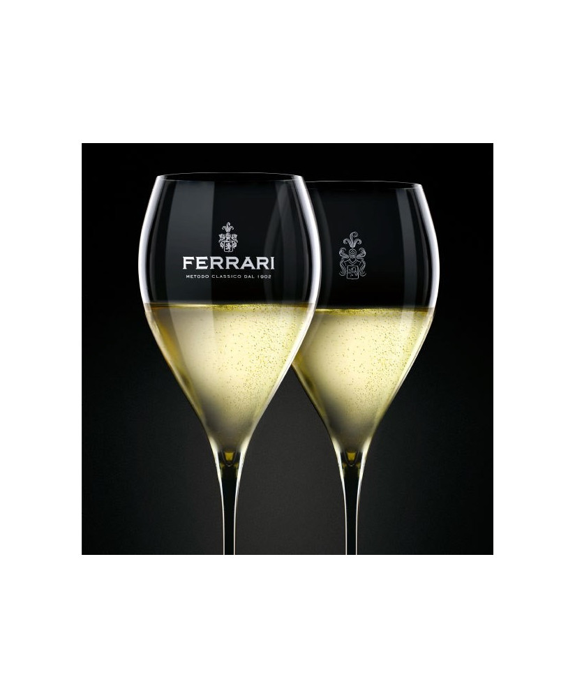 Vindita online bicchiere in vetro Trento Doc Ferrari