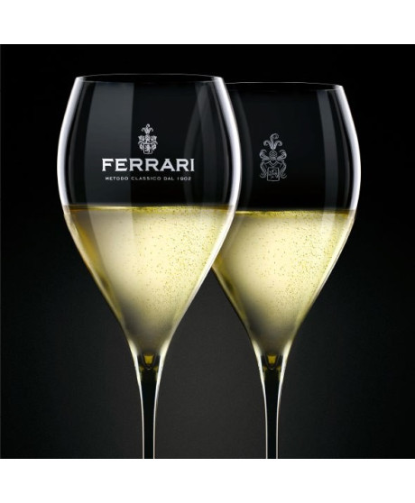 Vindita online bicchiere in vetro Trento Doc Ferrari