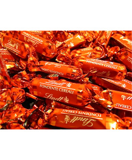 Vendita online cioccolatini Lindt Bastoncini con cioccolato fondente e cereali. Shop on line praline cacao amaro con cereali Lin