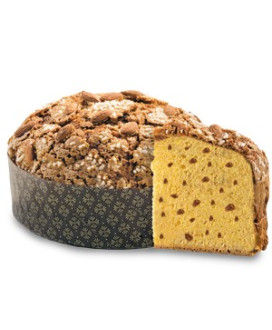 Shop online italian panettone Albertengo without candied fruit. On-line quality christmas cake. Corso101