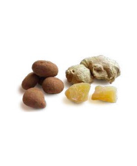Vendita online Ginger candito ricoperto di cioccolato fondente Slitti. Shop on line zenzero ricoperto di cioccolato amaro extra.