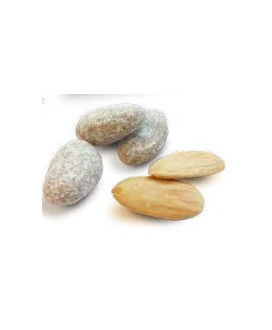 Online sales box Dragées Slitti. Shop online with gift boxes Dragées assorted craft Avola Almonds, covered of milk chocolate. Be