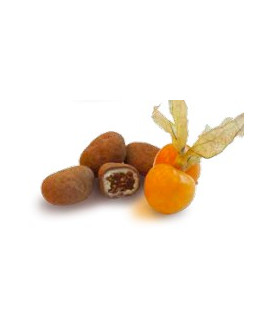 Vendita online cioccolato Slitti, Alkekengi ricoperti di cioccolata al latte e bianco. Shop on line alkekengi con cioccolato