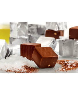 Vendita online Selezione Cremini al Sale Guido Gobino, Gianduiottini, cremini, Tourinot Maximo e cialdine extra bitter. Sh
