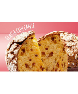 Filippi - Panettone - No Candied Fruit - 1000g