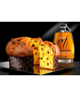 Vendita online Panettone Artigianale alla grappa Of Amarone Barrique. Prezzo Panettone Bonollo on-line, qualità veneta!