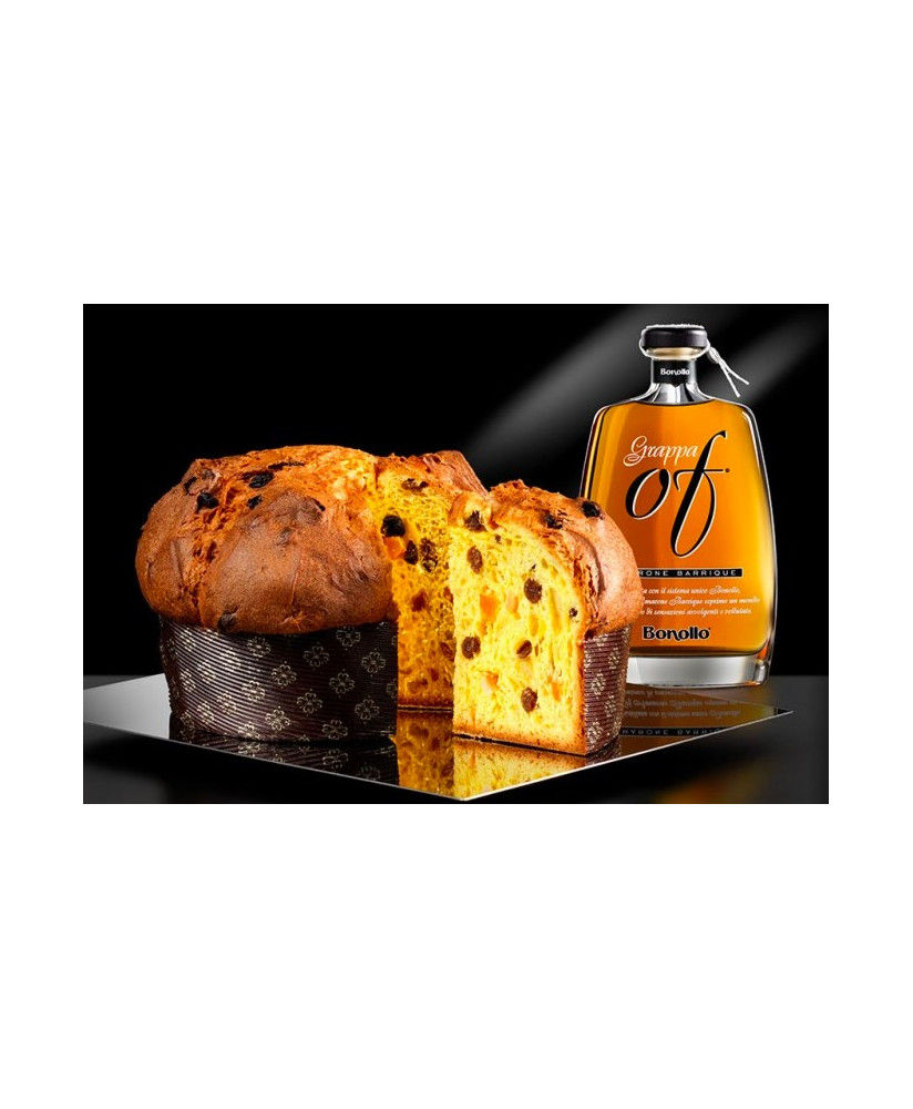 Vendita online Panettone Artigianale alla grappa Of Amarone Barrique. Prezzo Panettone Bonollo on-line, qualità veneta!