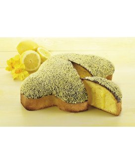 Online sale Delicious OUR SELECTION OF THE BEST ITALIAN EASTER CRAFT CAKE IN FORM OF A DOVE (COLOMBA) FROM THE BEST BRANDS : ALB