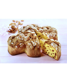 Buy online selling handmade Italian Easter Cake Flamigni. Shop online without candied fruit colomba - dove. Best price!
