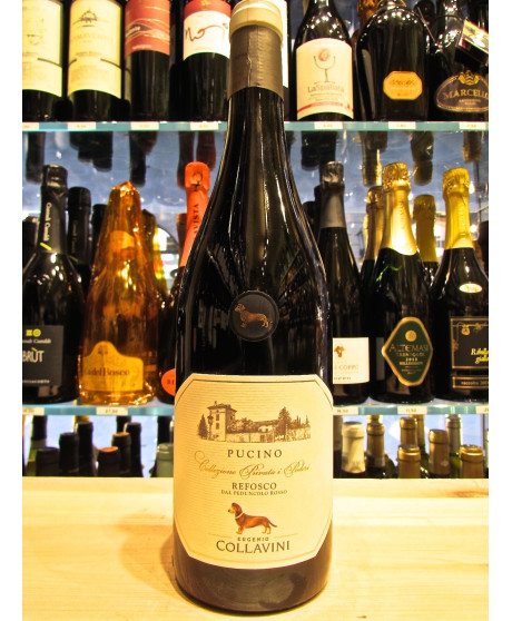 Vendita online Refosco Pucino Eugenio Collavini. Miglior prezzo on-line vini rossi di qualità Vendita online Refosco Pucino Eugenio Collavini. Miglior prezzo on-line vini rossi di qualità